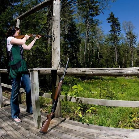 Allegheny Springs Snowshoe Ngoại thất bức ảnh
