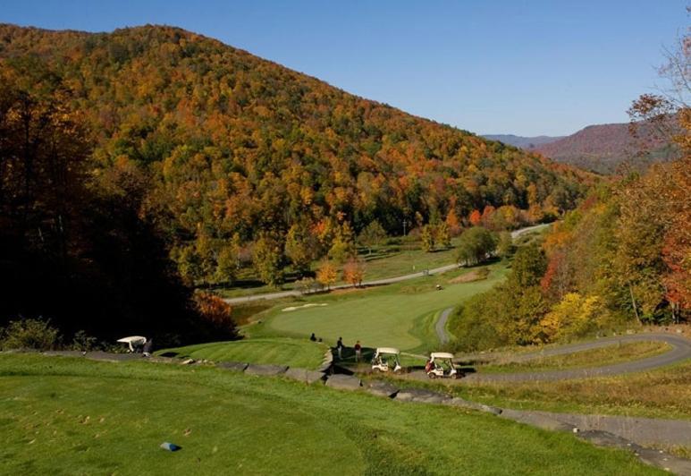 Allegheny Springs Snowshoe Ngoại thất bức ảnh