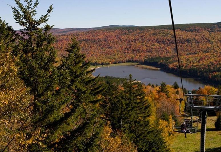 Allegheny Springs Snowshoe Ngoại thất bức ảnh