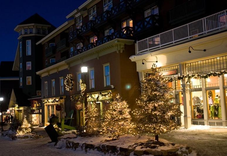 Allegheny Springs Snowshoe Ngoại thất bức ảnh