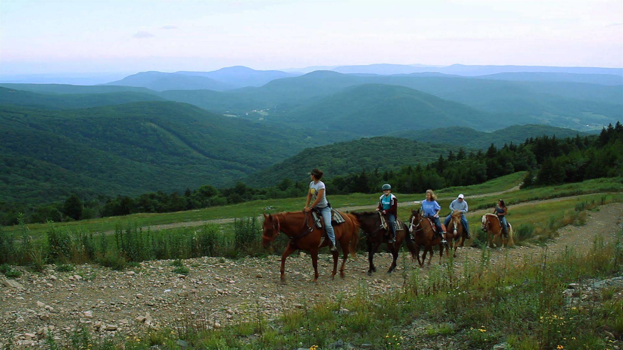 Allegheny Springs Snowshoe Ngoại thất bức ảnh