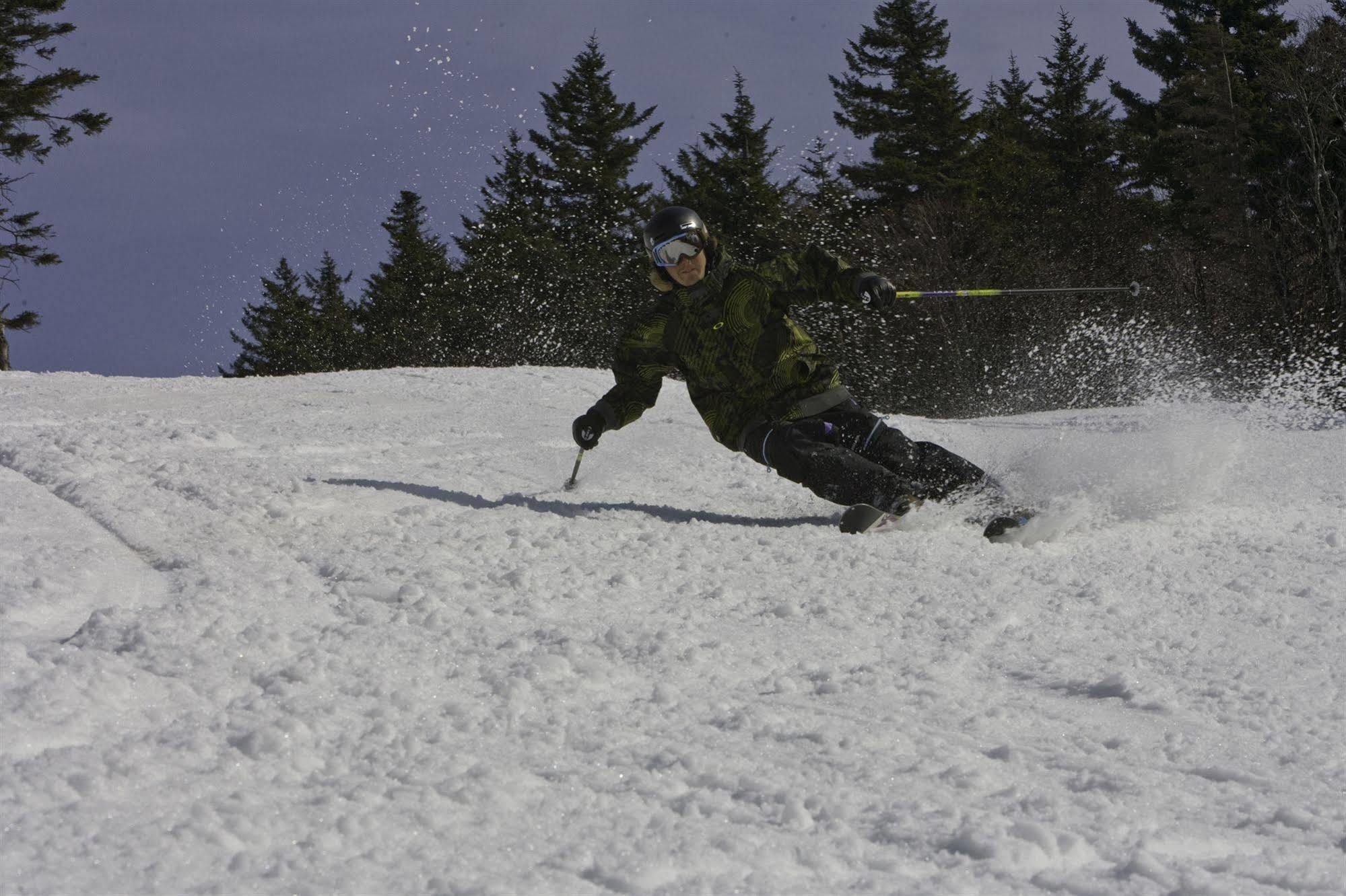 Allegheny Springs Snowshoe Ngoại thất bức ảnh