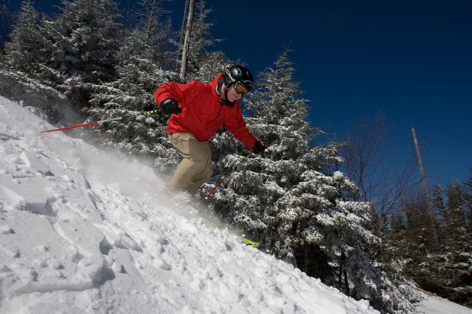 Allegheny Springs Snowshoe Ngoại thất bức ảnh