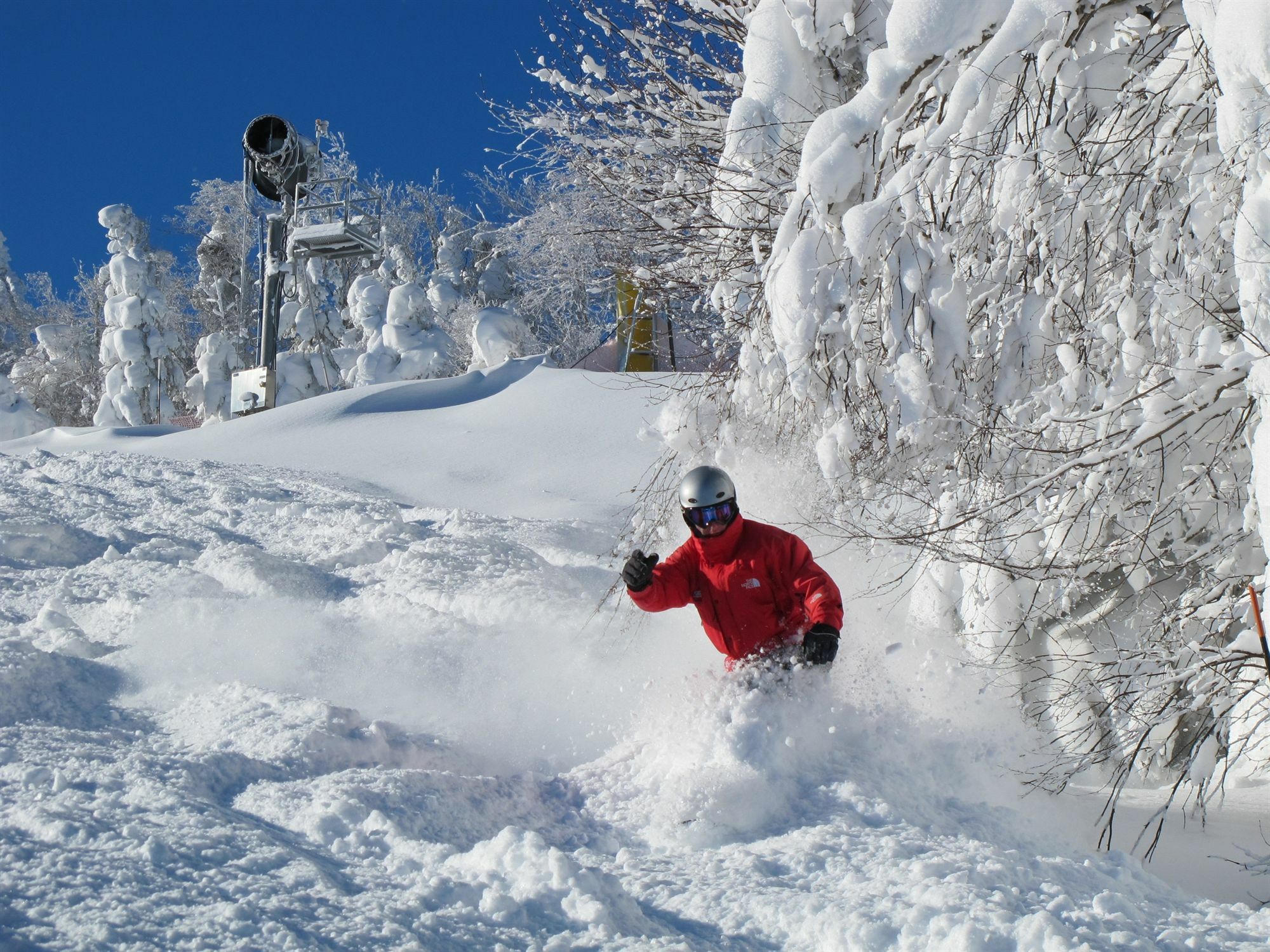Allegheny Springs Snowshoe Ngoại thất bức ảnh