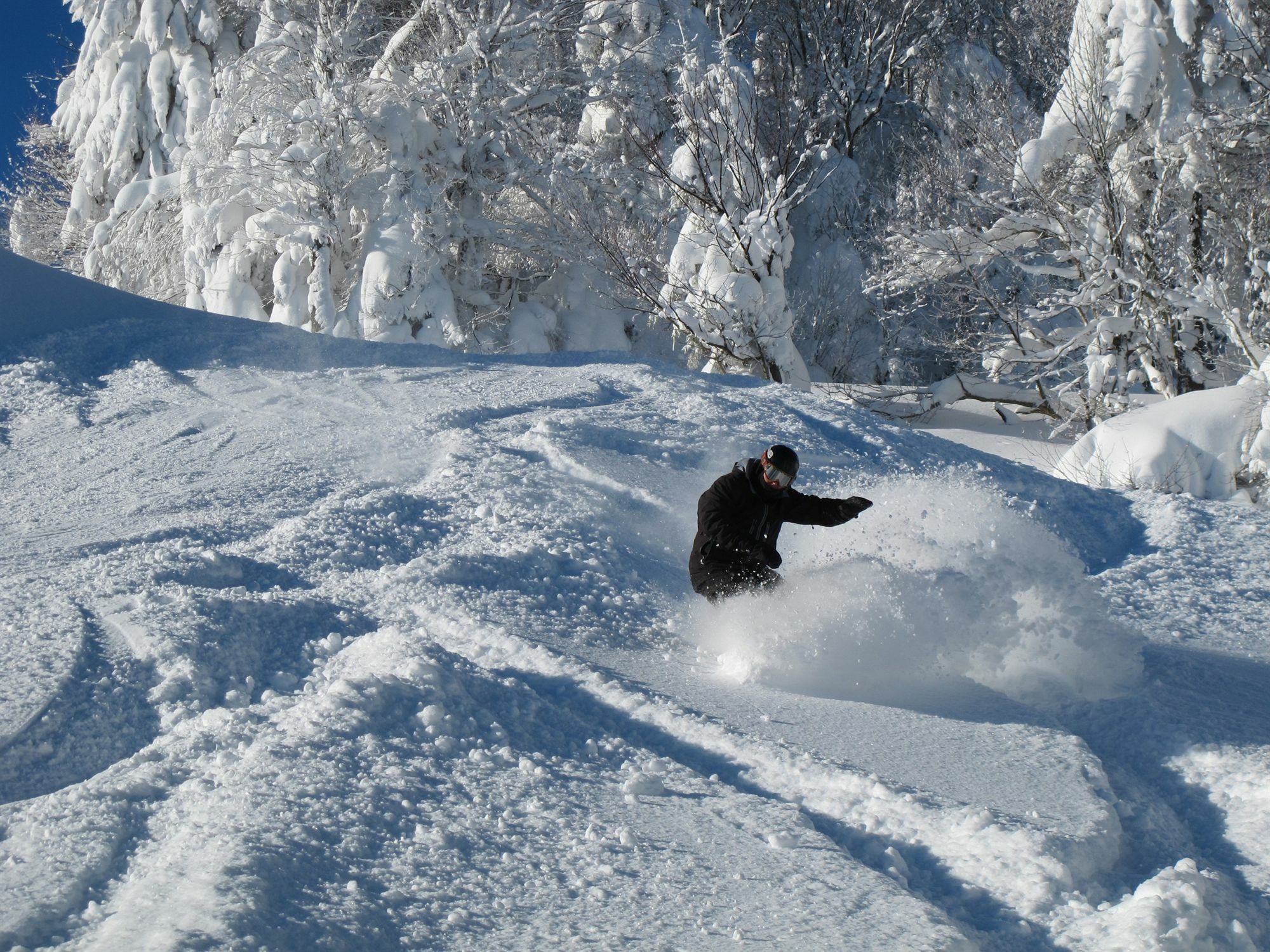 Allegheny Springs Snowshoe Ngoại thất bức ảnh